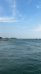 Colorful ferry transports passengers through calm Pattaya waters