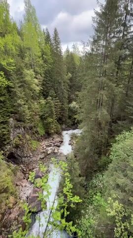 The camera pans across a scene from a bridge overlooking a small, rocky river in a forest. The water is rushing and looks slightly white and foamy in places. The river is surrounded by dense green trees of various types. The sky is overcast.