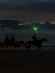 Horseback riders and dogs share beach at twilight
