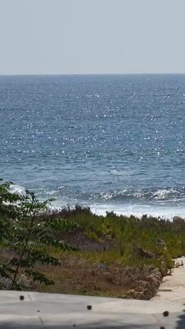 The video shows a view of the ocean with waves crashing on the shore. In the foreground, there is some vegetation and a pathway. The sky is clear and the sun is shining, causing the water to sparkle. The camera is static, and the video appears to be a short loop. There are no people or animals visible in the video. The overall scene is peaceful and serene.