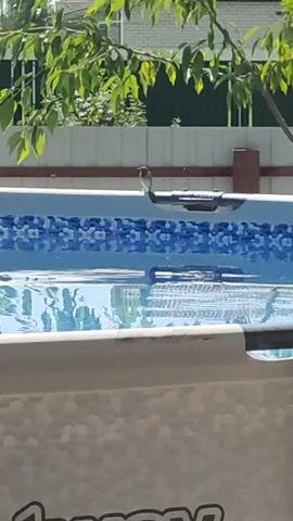 The video shows a small bird perched on the edge of a swimming pool. The pool has a blue and white tiled liner and is filled with clear water. A tree with green leaves overhangs the pool, and in the background, there is a fence and some buildings. The scene appears to be outdoors on a sunny day. The bird is small and brown with a reddish-brown patch on its head. It is looking to the left. The video is static, with no movement other than the slight rustling of the leaves in the breeze. The overall mood is peaceful and serene.