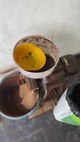 The video shows a coffee grinder in operation.  The grinder has a metal hopper filled with roasted coffee beans, with a yellow bowl resting on top. The grinder is powered by a motor and has a collection bag attached to it. A large bag filled with roasted coffee beans sits on the floor next to the grinder. The grinder is sitting on a concrete floor next to a wall that is cracked near an electrical outlet.