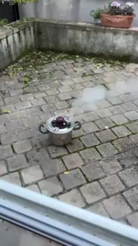 A video shows a pressure cooker on a brick-paved patio emitting a plume of steam. The pressure cooker is silver with black handles and a red and black top.  The patio is bordered by a low, weathered brick wall with plants growing in a planter on top.  Leaves are scattered on the patio.  The video is taken from inside a building, visible through a window frame.