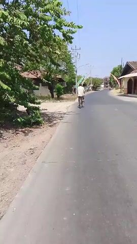 A person rides a bicycle down a paved road. The person is wearing a white shirt and shorts and a hat. There are trees and buildings on the left side of the road. The sky is blue and clear.