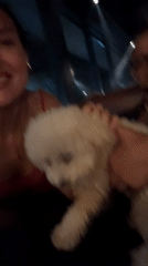 Woman dines with dog at North Kuta restaurant