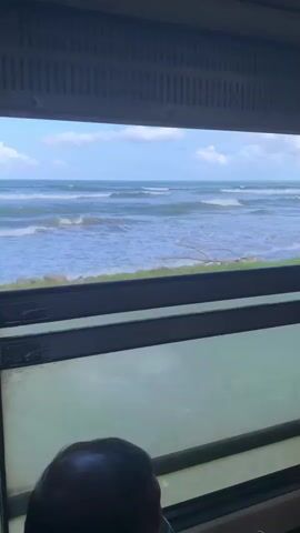The video shows a view from inside a moving vehicle, likely a train or bus. The camera is angled downwards towards a man sitting in the foreground, who is wearing glasses and looking at his phone. The main focus of the video is the window, which offers a view of a beach and the ocean. The ocean has moderate waves. The vehicle appears to be traveling along the coast. At one point, lush green vegetation passes by the window, indicating a shift in scenery. The video captures the dynamic landscape outside the window as the vehicle moves.
