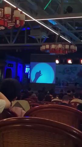 A shadow puppet show is in progress. A silhouette of a hand, forming a shadow animal, is projected onto a large, circular screen illuminated with blue light. The audience, seated in rows of chairs, watches the performance. The setting appears to be an indoor venue with traditional Chinese-style lanterns and decor. The lighting is dim, with spotlights on the screen and decorative lights in the ceiling.