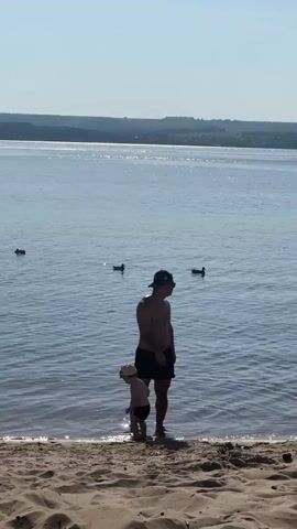 The video shows a man and a young child on a beach next to a body of water. The man is shirtless, wearing dark shorts, a baseball cap, and sunglasses. The child is also shirtless and wearing a light-colored hat. They are both standing in the shallow water at the edge of the beach. The child appears to be holding a green object and drinking from it. In the water, there are several ducks swimming. The background shows a distant treeline and a clear blue sky. The beach is sandy and the water is calm with a slight shimmer of sunlight.