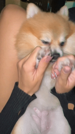 Everyday moments captured in North Kuta resort area