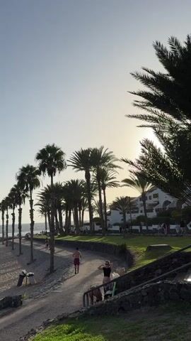 The video opens with a view of a beach lined with palm trees and a clear sky with the sun low on the horizon. Several people are visible walking along a path and on the beach. One person is jogging on the path, and another is walking with a child. Further down the beach, there are rows of empty lounge chairs and umbrellas. In the foreground, grass borders a gravel path. As the video progresses, the camera pans to reveal a beach cafe with tables and chairs set up under a canopy. People are seated at the tables, and others are walking on the sand. The ocean is visible in the background, with a breakwater extending into the water. The overall scene is a peaceful coastal resort during what appears to be late afternoon or early evening.