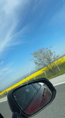 Morning drive captured in side mirror reflection, Zheleznik Bulgaria