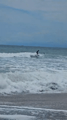 Early morning surfer rides choppy waves in Kamakura