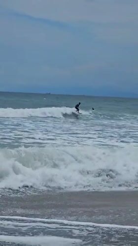 Early morning surfer rides choppy waves in Kamakura