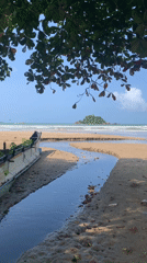 Morning coastal life documented in Weligama, Sri Lanka