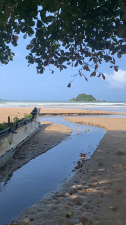 Morning coastal life documented in Weligama, Sri Lanka