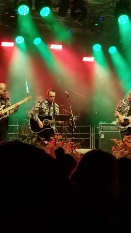 A live band performs on a stage at night, illuminated by green, red, and pink spotlights. The band consists of four members: a guitarist on the far left, a drummer in the middle-left background, a lead singer and guitarist in the center, and a bassist on the far right. They are wearing camouflage-patterned shirts. The stage is decorated with plants and flowers. In the foreground, the silhouettes of an audience are visible. The lighting shifts from green and red to pink and purple throughout the clip.