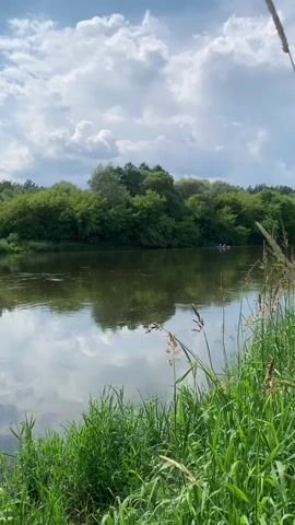 A vertical video shows a calm river bordered by lush green trees on the opposite bank. The sky above is partly cloudy with dramatic, puffy clouds. In the middle of the river, a small, pink kayak with at least two people is visible, paddling gently. The foreground features tall, green grass and some dry seed stalks swaying in the breeze. The water reflects the sky and the trees, creating a serene and natural landscape.