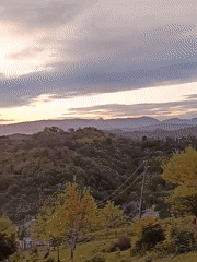 Sunset pastoral scene captured in rural Abkhazia countryside