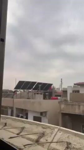 From an interior perspective behind a screened window, the video reveals an urban landscape characterized by weathered, low-rise buildings, mostly concrete and brick, under a cloudy, overcast sky. A set of solar panels sits atop one of the buildings. A few bare tree branches are visible to the right, and the overall setting implies a densely populated neighborhood.