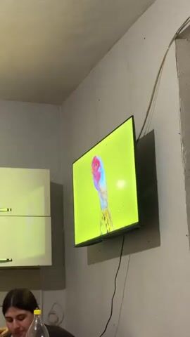 The video shows a television screen displaying various animated images. In the foreground, a young woman is visible, looking down. The room appears to be a kitchen or dining area, with white cabinets mounted on the wall. The television is mounted on the wall and is displaying colorful animations. The first animation shows a bird, followed by a spinning object and a camera. The final animation displays the word "CHICKEN" in large blue letters.