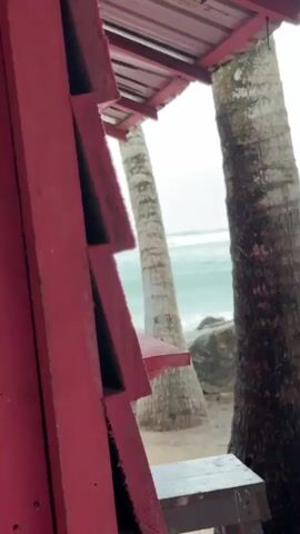 The scene captures a view from inside a red, roofed structure, possibly a beach shack or shelter, looking out onto a sandy beach and a turbulent sea. A brown glass bottle rests on a red wooden shelf or ledge within the structure. Two palm trees flank the view of the ocean, their trunks standing prominently against the backdrop of white waves. The weather appears overcast, with a pale sky and choppy water. The beach is visible between the structure and the sea, showing a mix of sand and some rocks.