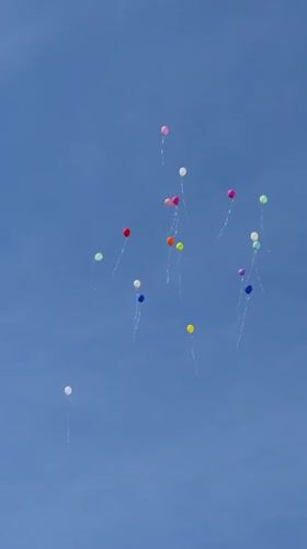 Outdoor celebration with music and balloon release in Lovech