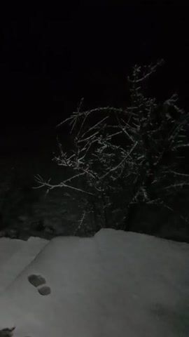 The video depicts a dark, snowy night.  A snow-covered wall or structure is visible on the right side of the frame, with visible footprints in the snow. To the left, a dark, bare bush or small tree is present.  The background is black, implying a lack of lighting beyond the snow. A faint light is visible in the upper left corner of the frame.  The camera angle is low, pointing upwards.