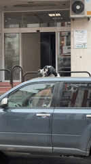 Casual street scenes captured in Veliko Tarnovo, Bulgaria