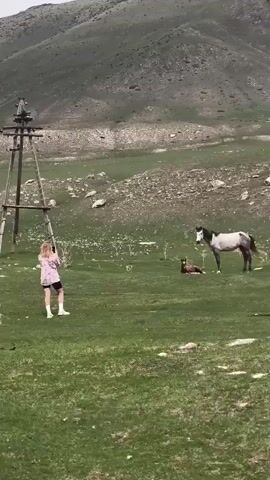 A young woman with long blonde hair stands near a wooden structure in a grassy field.  She is wearing a pink plaid shirt, black shorts, and white socks and shoes.  In the field, slightly away from her, are two horses: a gray and white adult horse standing, and a brown foal lying down.  A large, sloping hill forms the background of the scene.  The weather appears overcast.