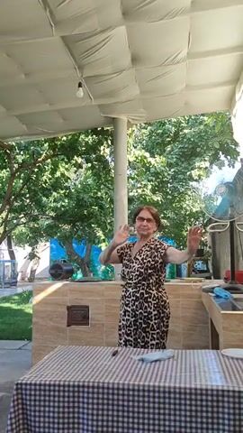 An older woman with glasses and short brown hair, wearing a leopard print dress, stands outside under a white awning. She has her arms outstretched, with her hands in a waving motion. In front of her is a table covered with a black and white checkered tablecloth. Behind her, there is lush green foliage and trees. To the right, a blue oscillating fan is visible. The scene appears to be an outdoor patio or backyard.