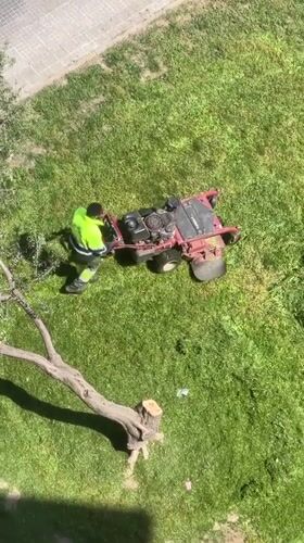 Groundskeeper operates lawn mower in Terrassa Spain Friday morning