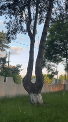 Evening stroll through park captures soccer, sunset, painted trees