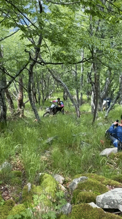 Dirt bikers explore forest trails near Bor, Bulgaria