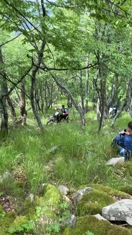 A man in a pink, yellow, blue, and black long-sleeved jersey and black pants rides a dirt bike through a densely vegetated, treed area. He navigates the bike forward, surrounded by tall green grass and trees with light green leaves. Another man in a dark blue shirt and dark pants sits on the ground, holding a smartphone and seemingly recording the first rider. The first rider proceeds forward and exits the frame. The camera then pans slightly to the right, revealing a third person riding a predominantly white dirt bike further in the forest, moving through the green foliage. The sounds of dirt bike engines are audible throughout the scene.