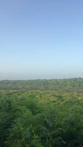 A panoramic view of a lush green landscape under a clear blue sky. The foreground is filled with dense foliage and trees. In the middle ground, rolling hills covered in vegetation stretch towards the horizon. Two tall, red and white striped towers are visible in the distance on top of a hill. The sky transitions from a clear blue at the top to a lighter hue near the horizon, with a few wispy clouds. The scene appears to be a natural landscape with some man-made structures in the distance.