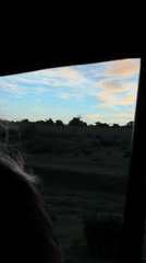 Dusk landscape observed from vehicle in George, South Africa