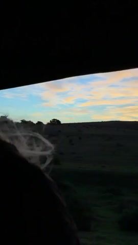 A view from inside a moving vehicle shows a landscape at dusk with a colorful sky featuring light blue and yellow clouds. In the foreground, a green, grassy plain extends towards the horizon, dotted with shrubs and trees. A dirt road snakes through the landscape. A utility pole with power lines is visible. The camera is positioned inside a vehicle, with parts of a person's hair and shoulder visible. The overall impression is of a tranquil rural scene.