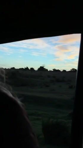 Dusk landscape observed from vehicle in George, South Africa