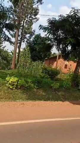 The video shows a drive-by view of a rural landscape. The camera, presumably from a moving vehicle, pans across lush green vegetation, including banana trees, and trees that cast shadows over the scene. A small, unpainted brick building with minimal window openings is visible amidst the greenery. The road is a reddish-brown color. The sky is partially visible with some cloud cover. There is a utility pole visible briefly at the beginning of the clip.