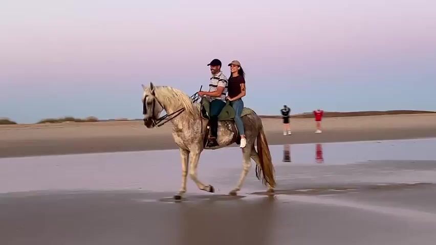A man and a woman are riding a single horse on a wet sandy beach at dusk. The horse is white with gray speckles and is walking towards the left of the frame. The man is in front, wearing a striped t-shirt, jeans, and a baseball cap. The woman is behind him, wearing a dark t-shirt, jeans, and a baseball cap. They are both looking ahead. The sky is a soft gradient of pink and purple. In the background, two figures are standing further down the beach. The sand is wet and reflective, showing a faint reflection of the sky and the people.