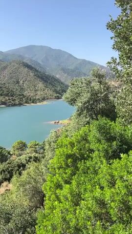A wide shot captures a tranquil lake surrounded by lush green mountains under a clear blue sky. The camera pans slowly to the left, revealing the expansive body of turquoise water winding through the valley. The foreground is dominated by dense, vibrant green foliage, with the leaves of trees and bushes swaying gently in the breeze. The middle ground shows the lake's edge with a few scattered rocks and trees lining the shore. In the background, rolling hills covered in greenery rise up to meet the horizon, with the hazy outlines of distant mountains forming a majestic backdrop. The lighting suggests it is daytime, with the sun casting a warm glow on the landscape. There are no people or animals visible in the scene.