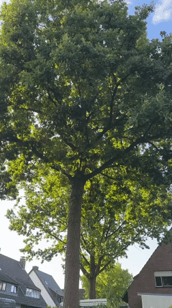 Krefeld, Germany