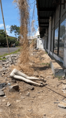 Motorcyclist rides through abandoned area in Kuta, Indonesia