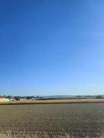 The video shows a view from a moving vehicle, likely a car, on a clear, sunny day. The camera pans across a rural landscape under a vast, deep blue sky. In the foreground, dry, harvested fields are visible, with rows of stubble indicating recent crop activity. To the left, a small cluster of houses with light-colored walls and darker roofs are situated along a road. Further in the distance, more fields, some appearing to have taller crops, stretch towards a hazy horizon. A solitary tree with green foliage stands in a grassy area. A street lamp with a red and white triangular sign is also visible. The video transitions smoothly, showing different aspects of the rural scenery as the vehicle continues its journey.