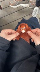 Tel Aviv resident documents afternoon outing with plush toy companion