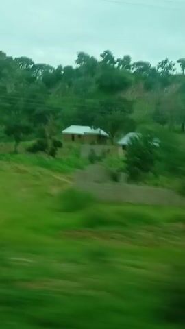 The video displays a blurry, fast-moving view of a rural landscape. Trees and green vegetation dominate the foreground, suggesting motion blur from a moving vehicle. In the background, a small, light-colored house with a grey roof is visible on a gentle slope, surrounded by trees and some rocky terrain. The sky is overcast, creating a diffused light. The scene appears to be an outdoor environment, likely a countryside road passing by a residential area.