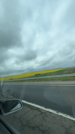 Driver captures yellow field view near Troyanovo, Bulgaria