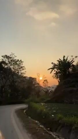 The video shows a serene scene of a winding road against the backdrop of a sunrise. The road is wet, reflecting the early morning light, and is surrounded by lush trees and foliage. The sun is partially obscured by the trees, creating a silhouette effect against the orange and pink sky. A mountain looms in the distance, adding depth to the tranquil landscape. The scene is static, with no apparent movement except for the natural light filtering through the trees.
