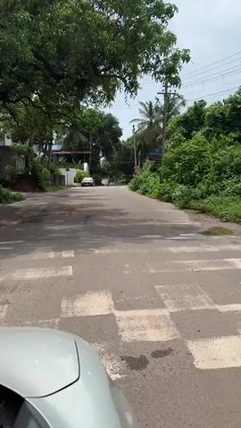 The video shows a view from a car, looking down a paved road bordered by lush green vegetation and palm trees. A white car is parked on the left side of the road. A sign for "GOLDEN TULIP" is visible on a pole to the right of the road. The road has some damp patches, possibly from recent rain, and shadows from trees are cast across it. The sky is cloudy. The car in which the video is being filmed is partially visible in the foreground.