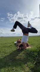Yoga session with dog companion in Russian countryside